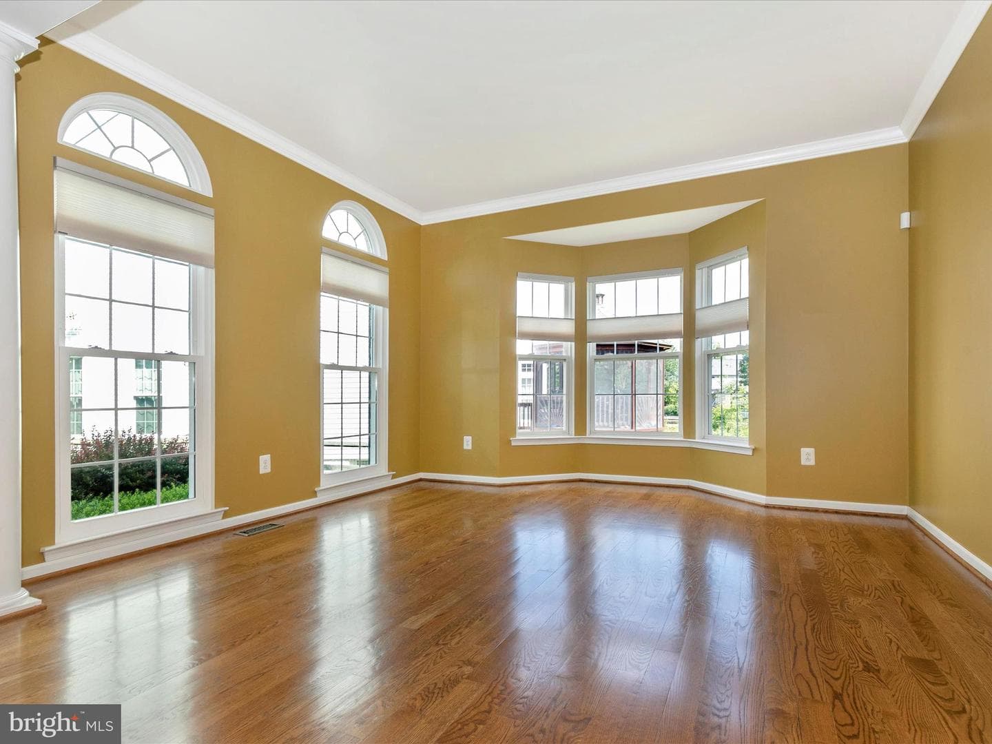 1802 Black Walnut Court photo 7