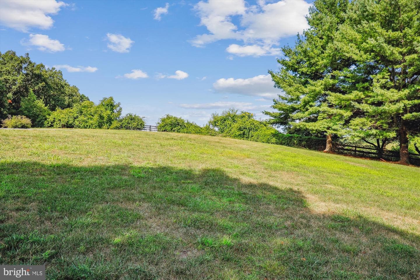 4705 Briggswood Court photo 7