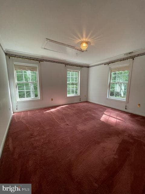 7419 Woodville Road photo 39