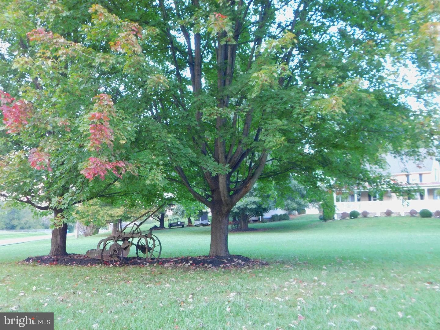 13202 Nittany Court photo 38