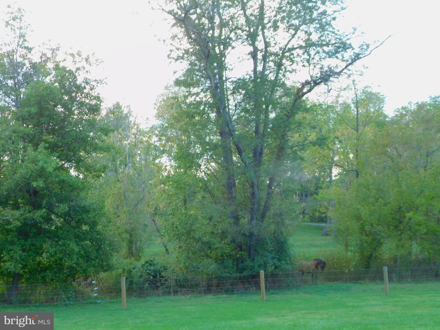 13202 Nittany Court photo 41