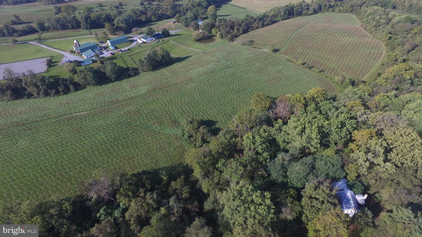6753 Dickerson Road photo 45