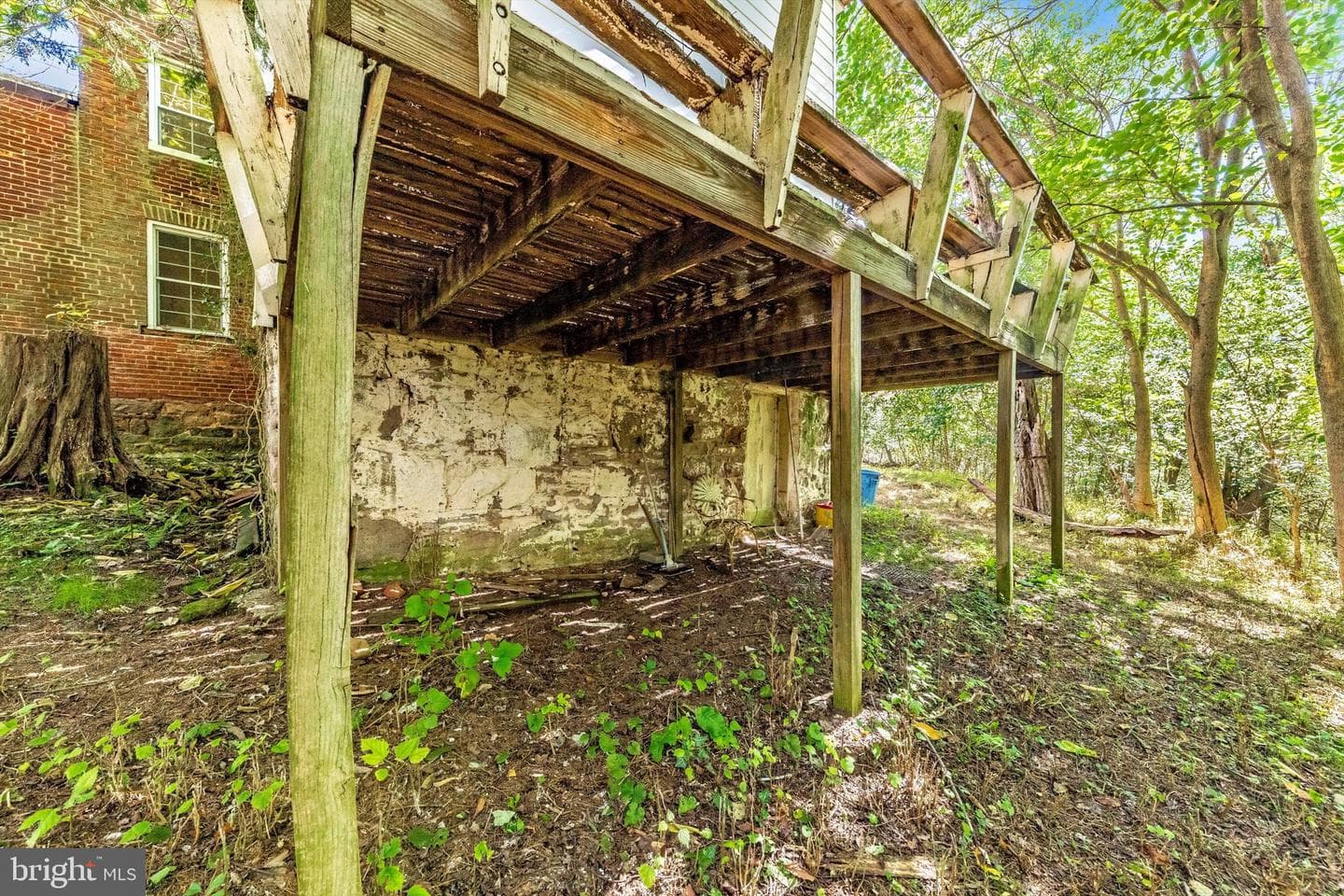 6753 Dickerson Road photo 8