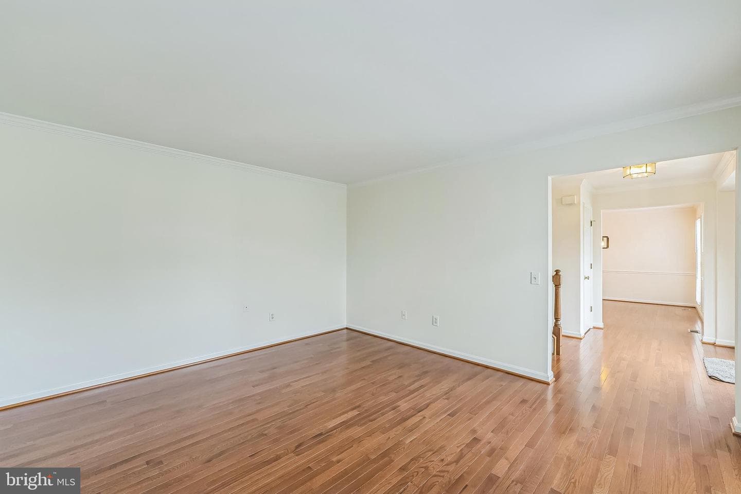 1414 Bluewing Court photo 43