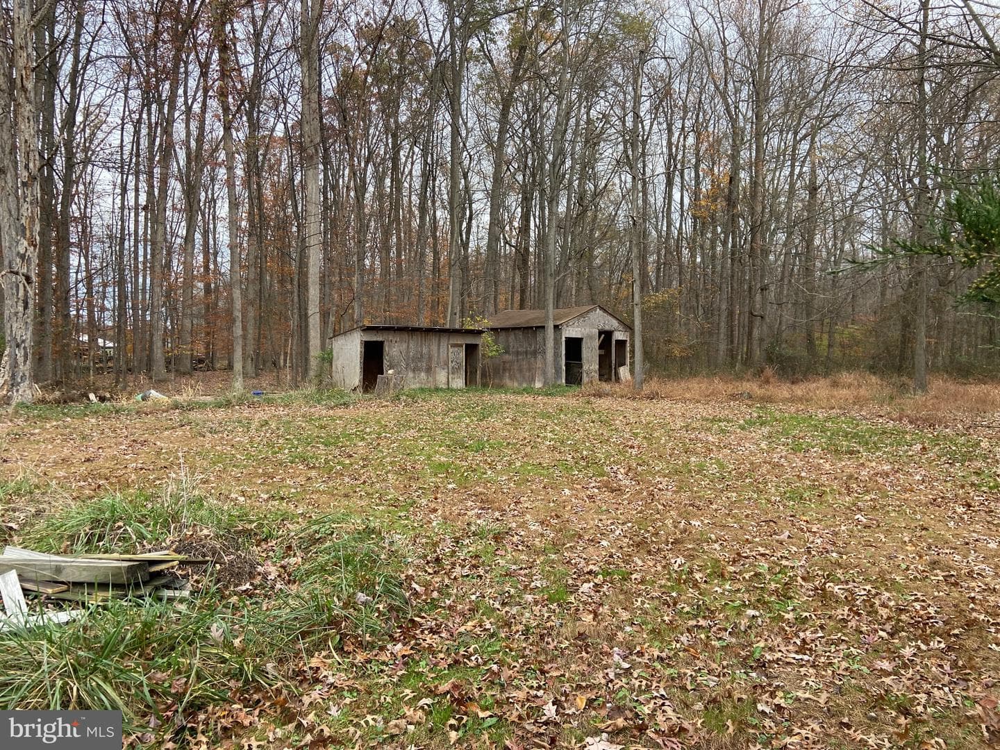 10711 Bethel Road photo 3