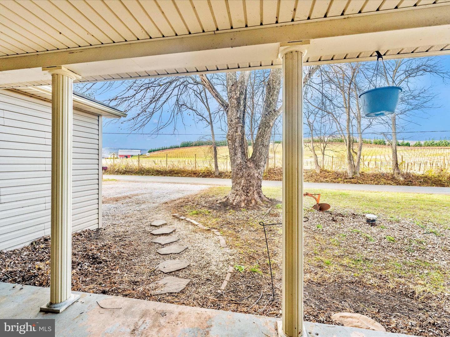 15021 Roddy Road photo 44