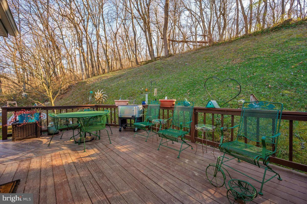 311 Jefferson Pike photo 34