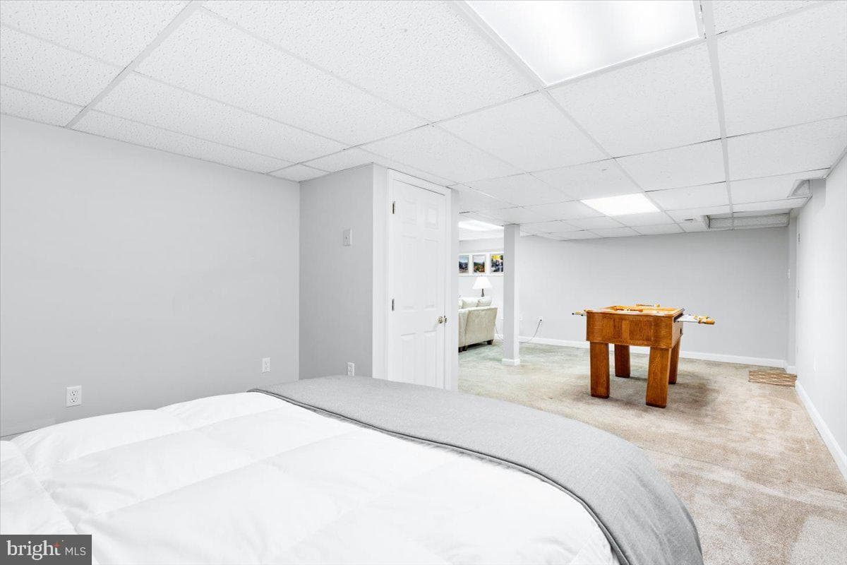 8105 Frosty Field Court photo 44