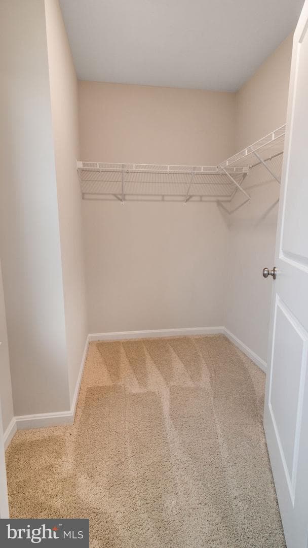 7022 Freedom Way photo 37