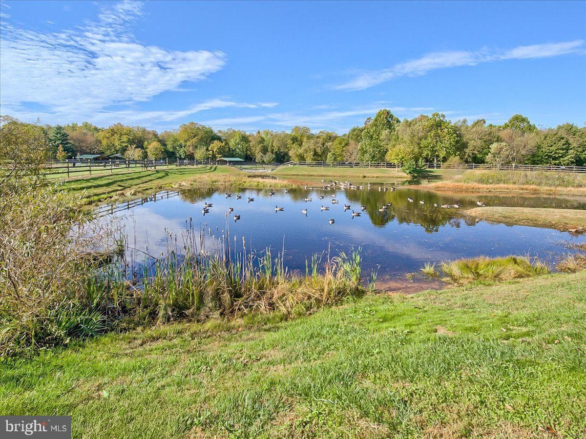 7022 Freedom Way photo 61