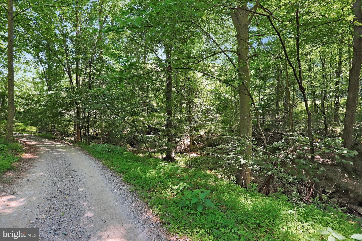 9641 Woodland Road photo 76