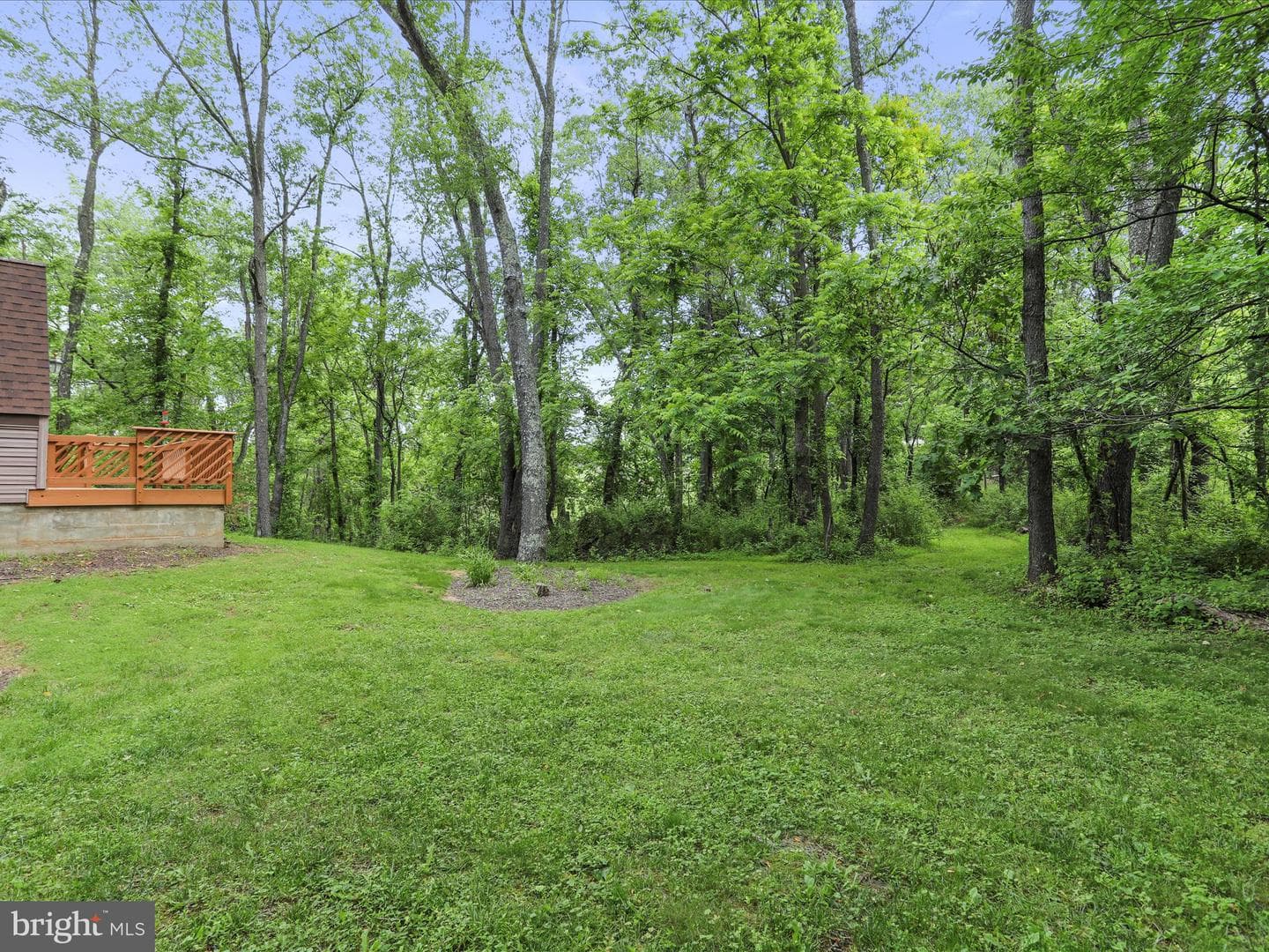 11035 Bennie Duncan Road photo 4