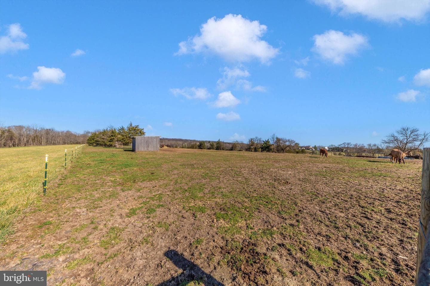 17449 Irishtown Road photo 50