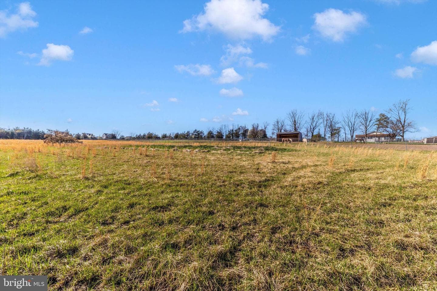17449 Irishtown Road photo 65