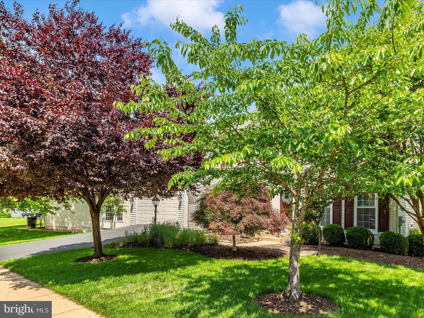 6470 Saddlebrook Lane photo 47