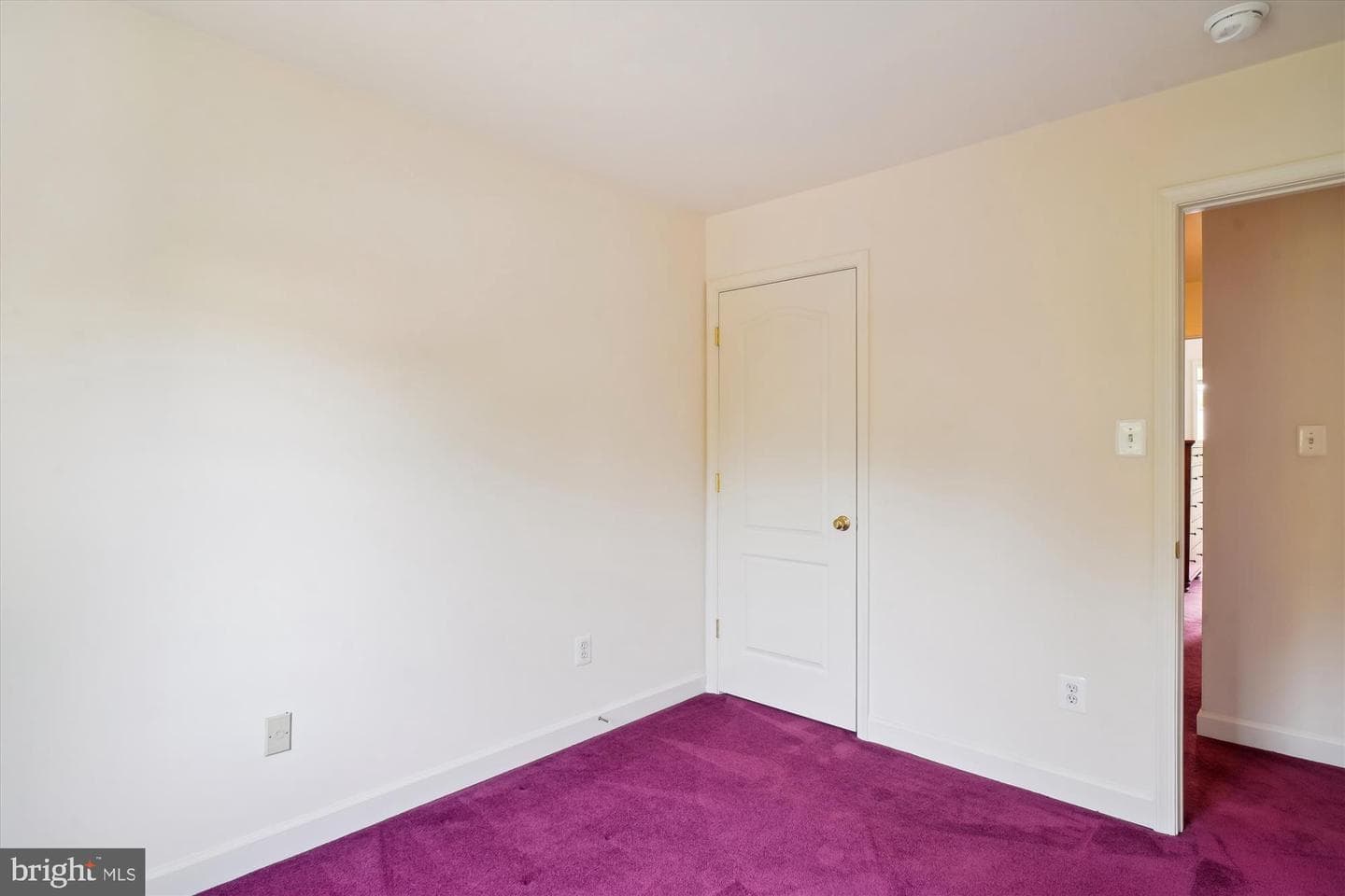 1015 Collindale photo 31