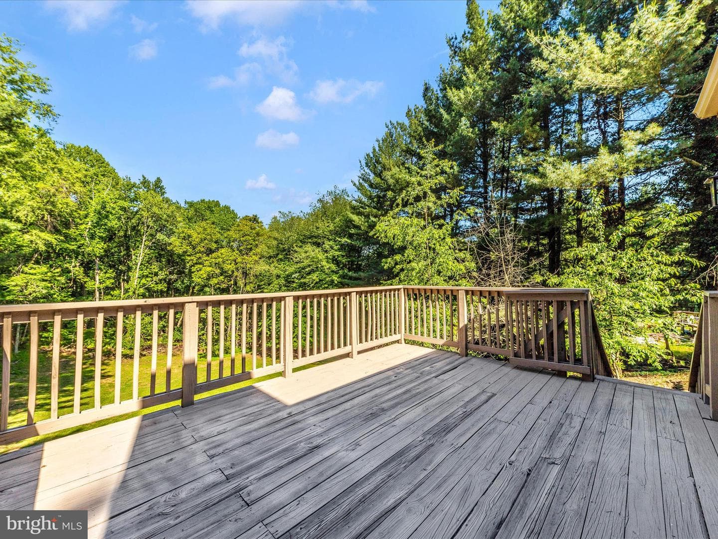 2749 Loch Haven Drive photo 48