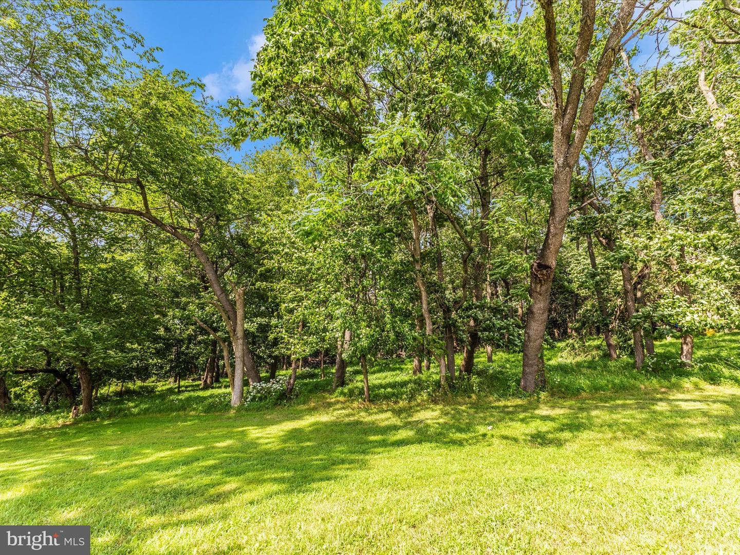 13410 Autumn Crest Drive photo 45