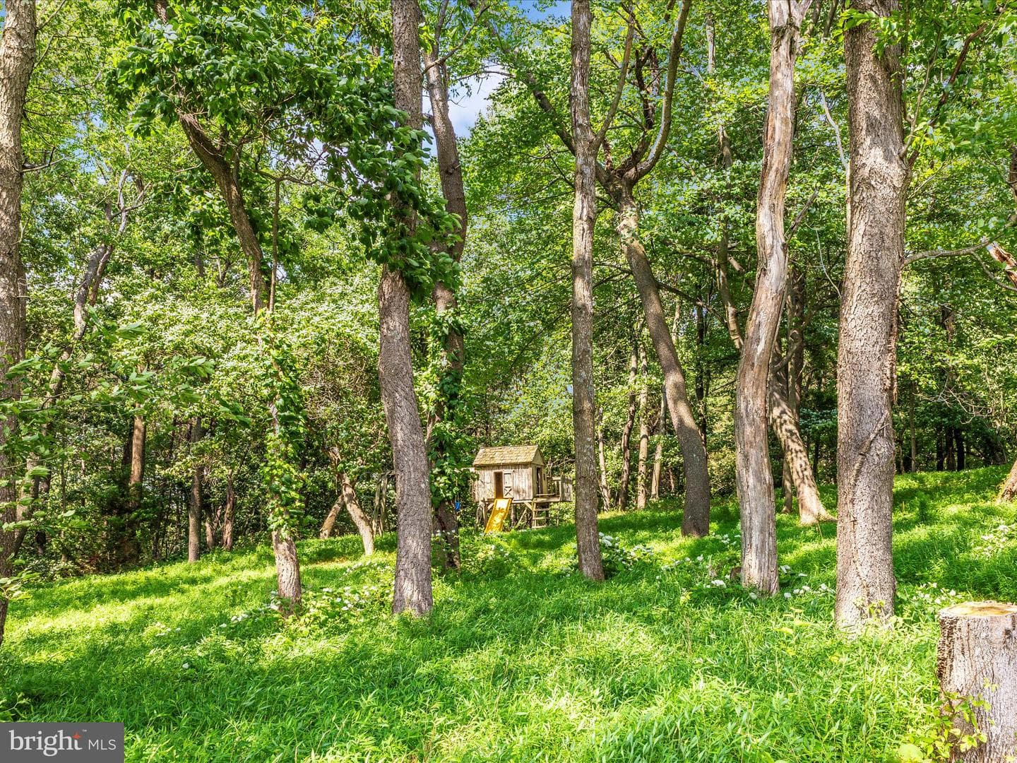 13410 Autumn Crest Drive photo 46