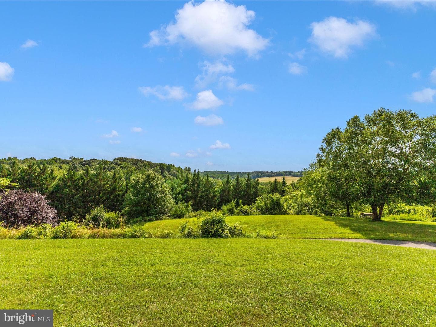 13410 Autumn Crest Drive photo 50
