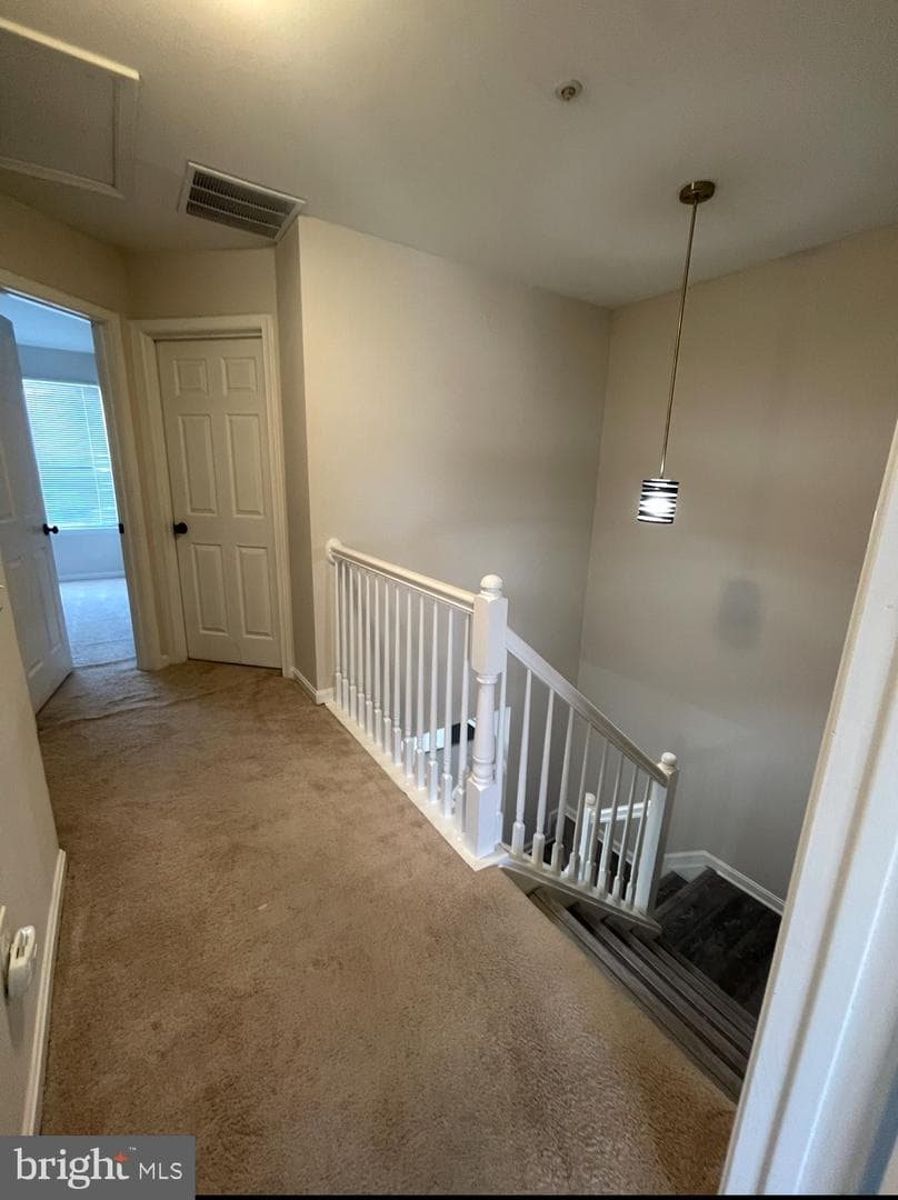 5607 Ashburn Terrace photo 38
