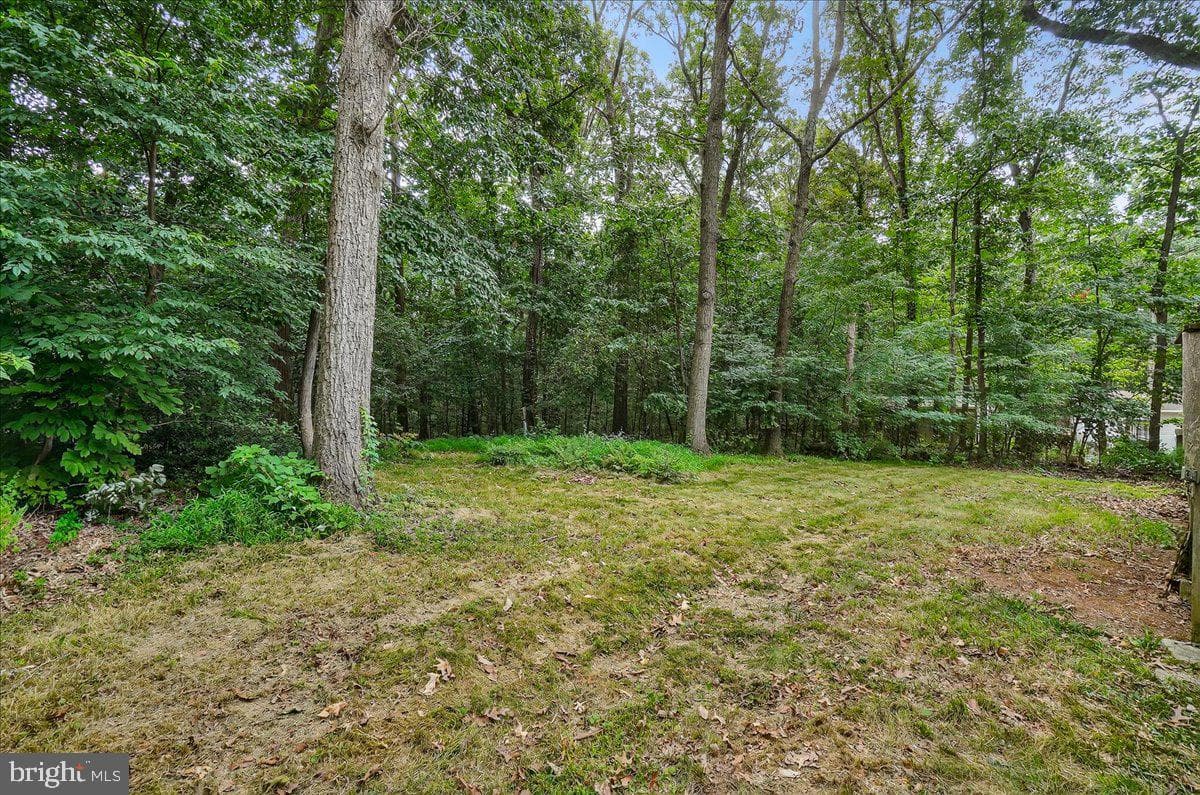 5635 Catoctin Ridge Drive photo 24