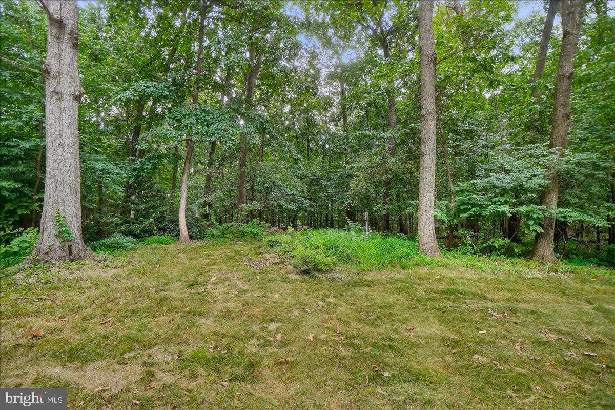 5635 Catoctin Ridge Drive photo 26