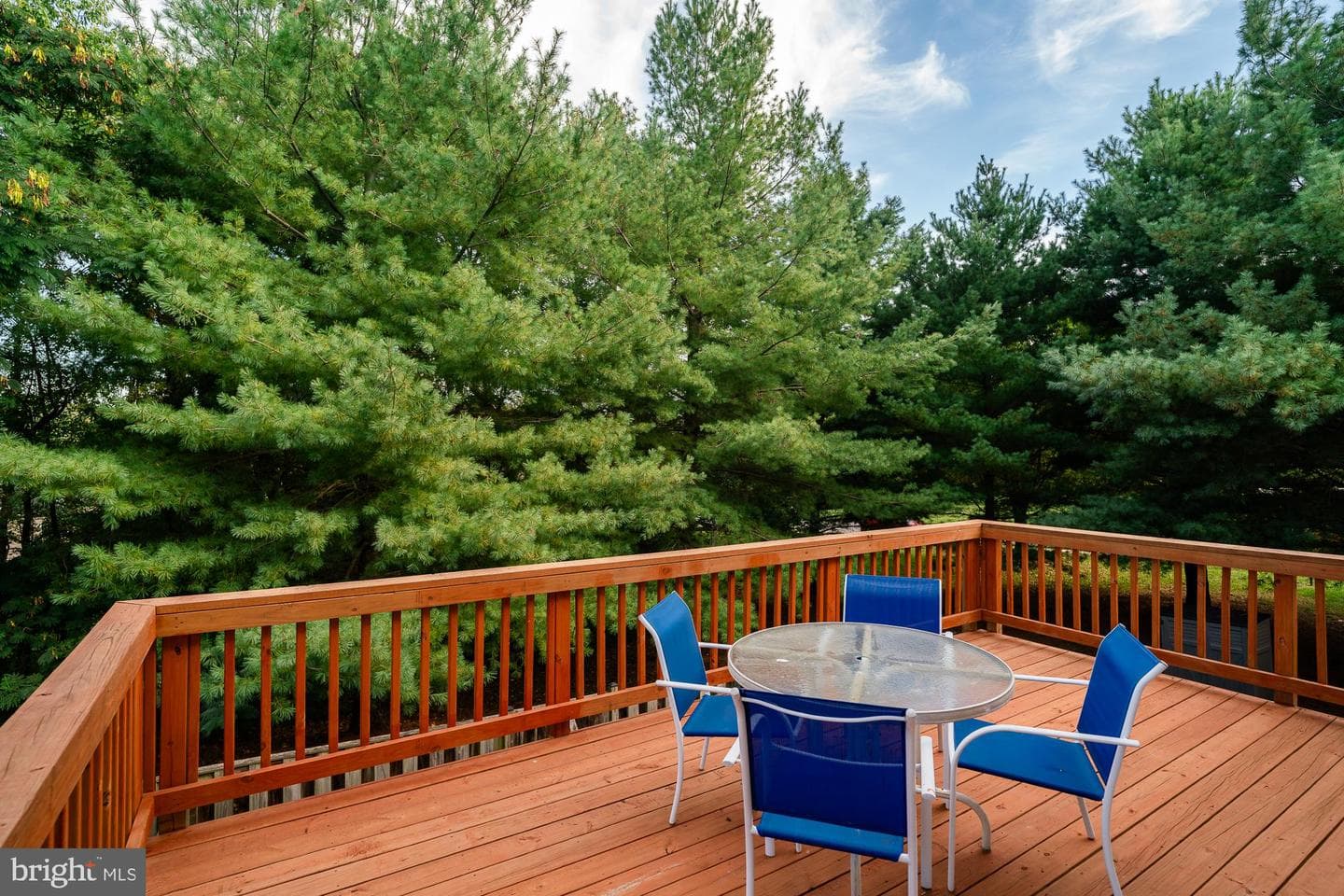 6103 Newport Terrace photo 40