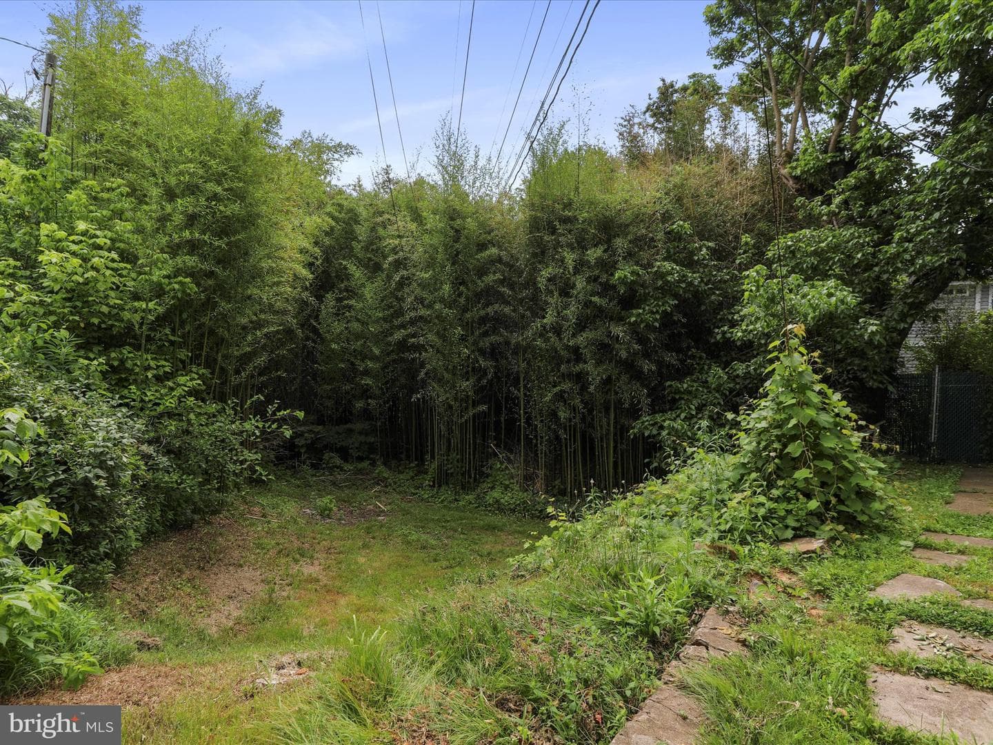 245 Knoxville Road photo 35