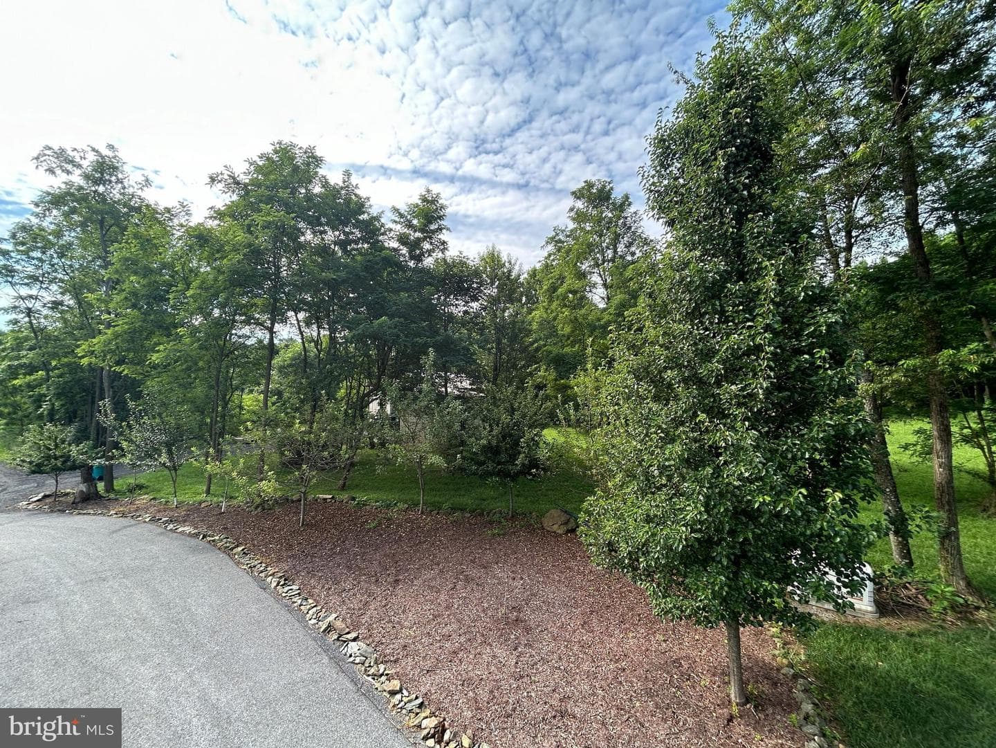 14301 Tower Road photo 101