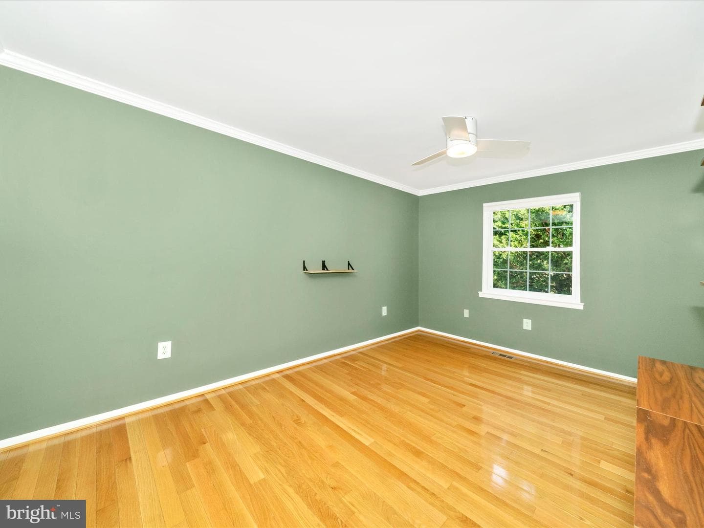 6915 Alex Court photo 32