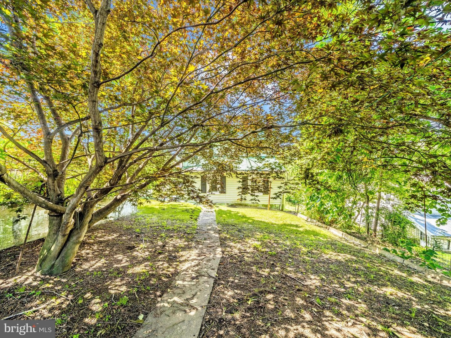 7 W B Street photo 42