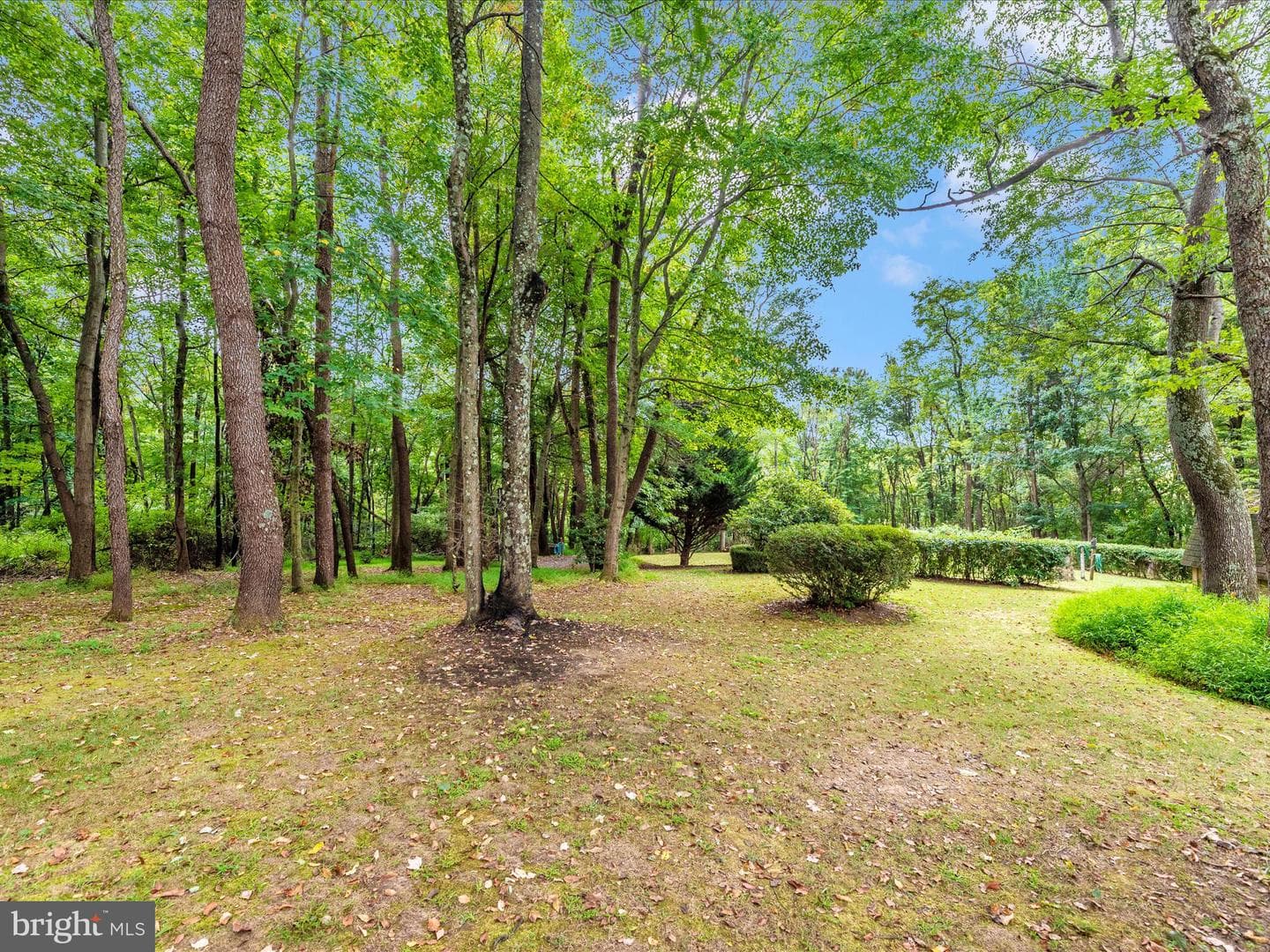 15602 Wildrose Court photo 53