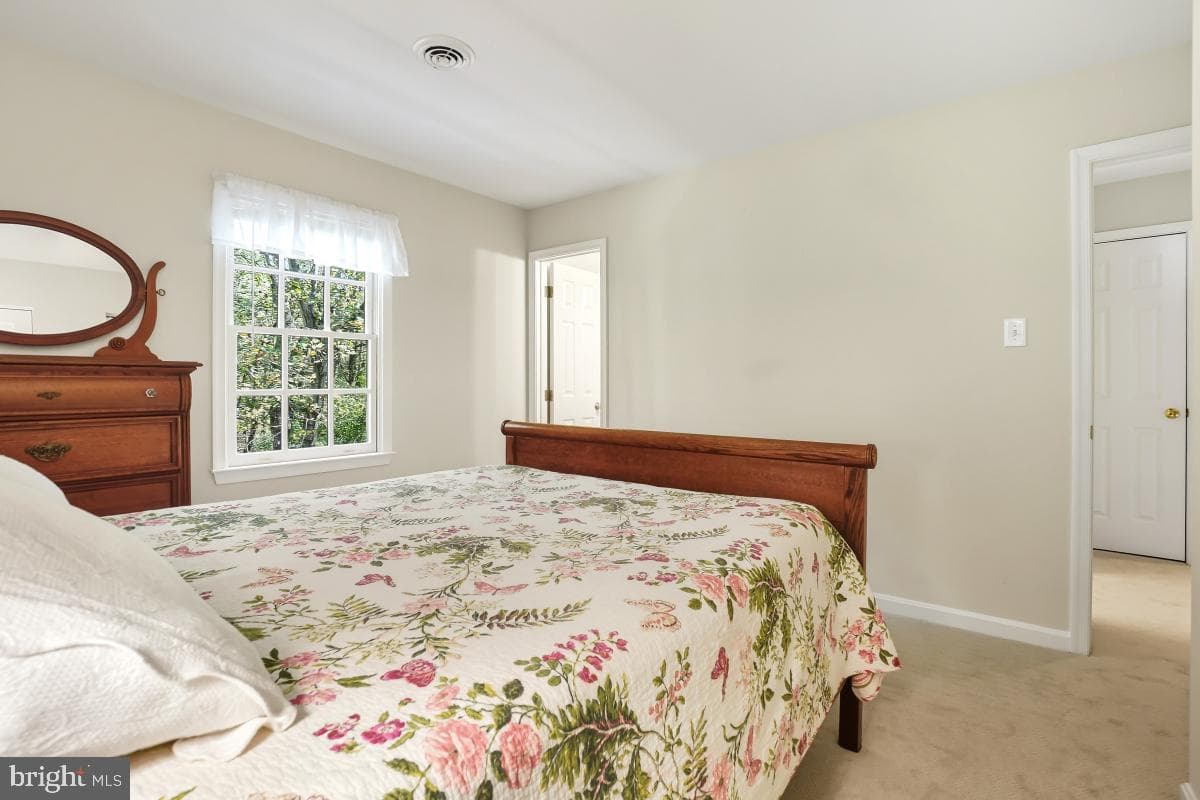 6823 Whistling Swan Way photo 19