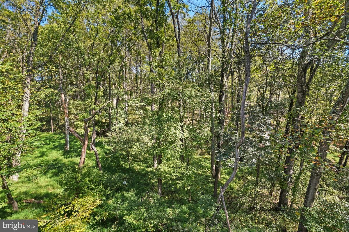 6823 Whistling Swan Way photo 44