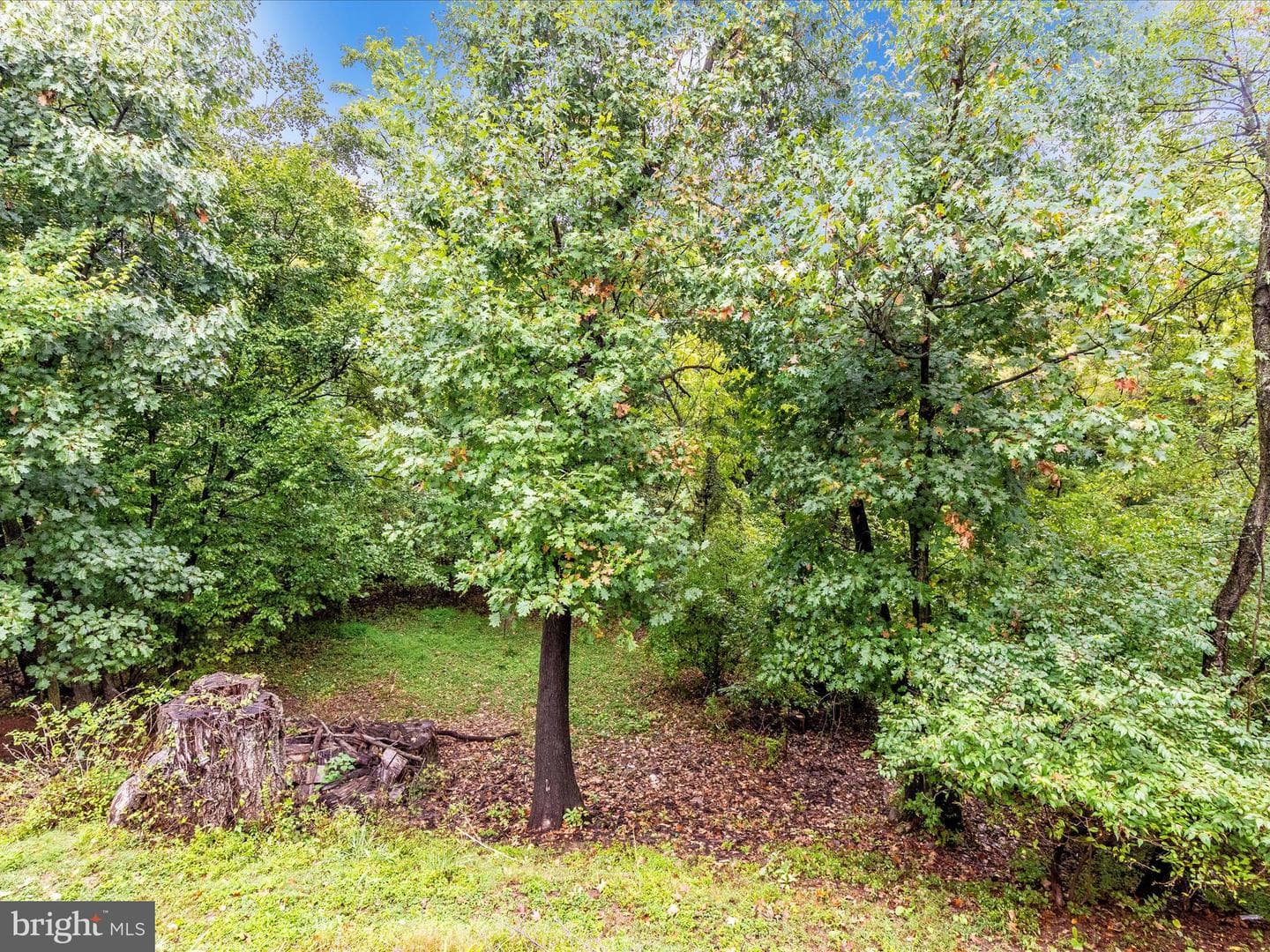 5732 Crestridge Court photo 48