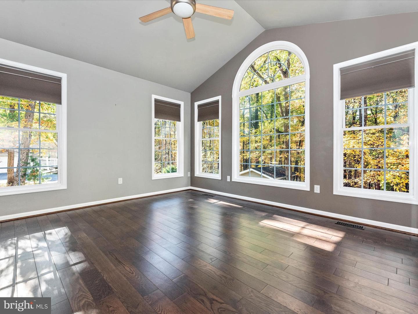 10027 Pine Tree Road photo 12