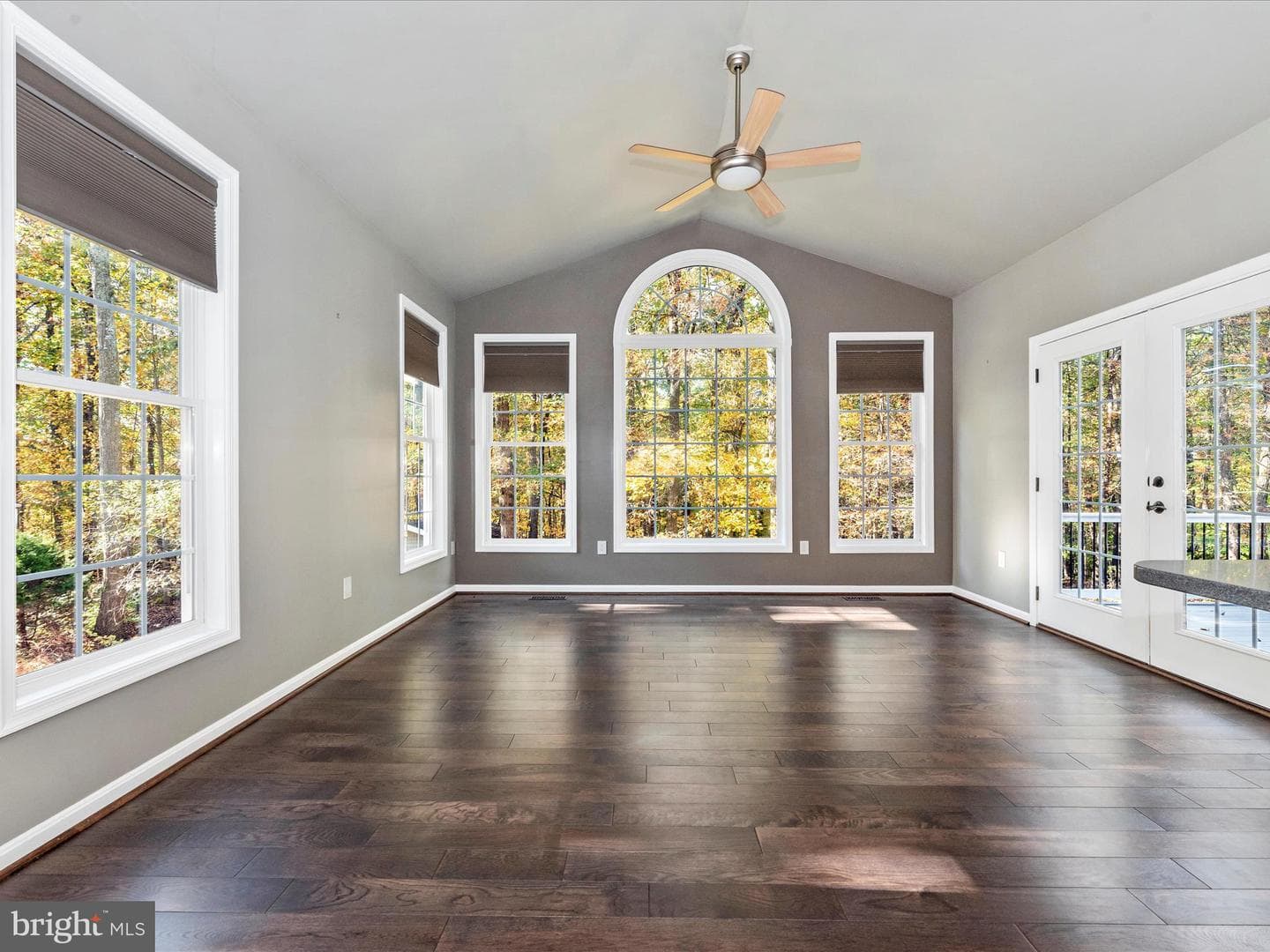 10027 Pine Tree Road photo 14