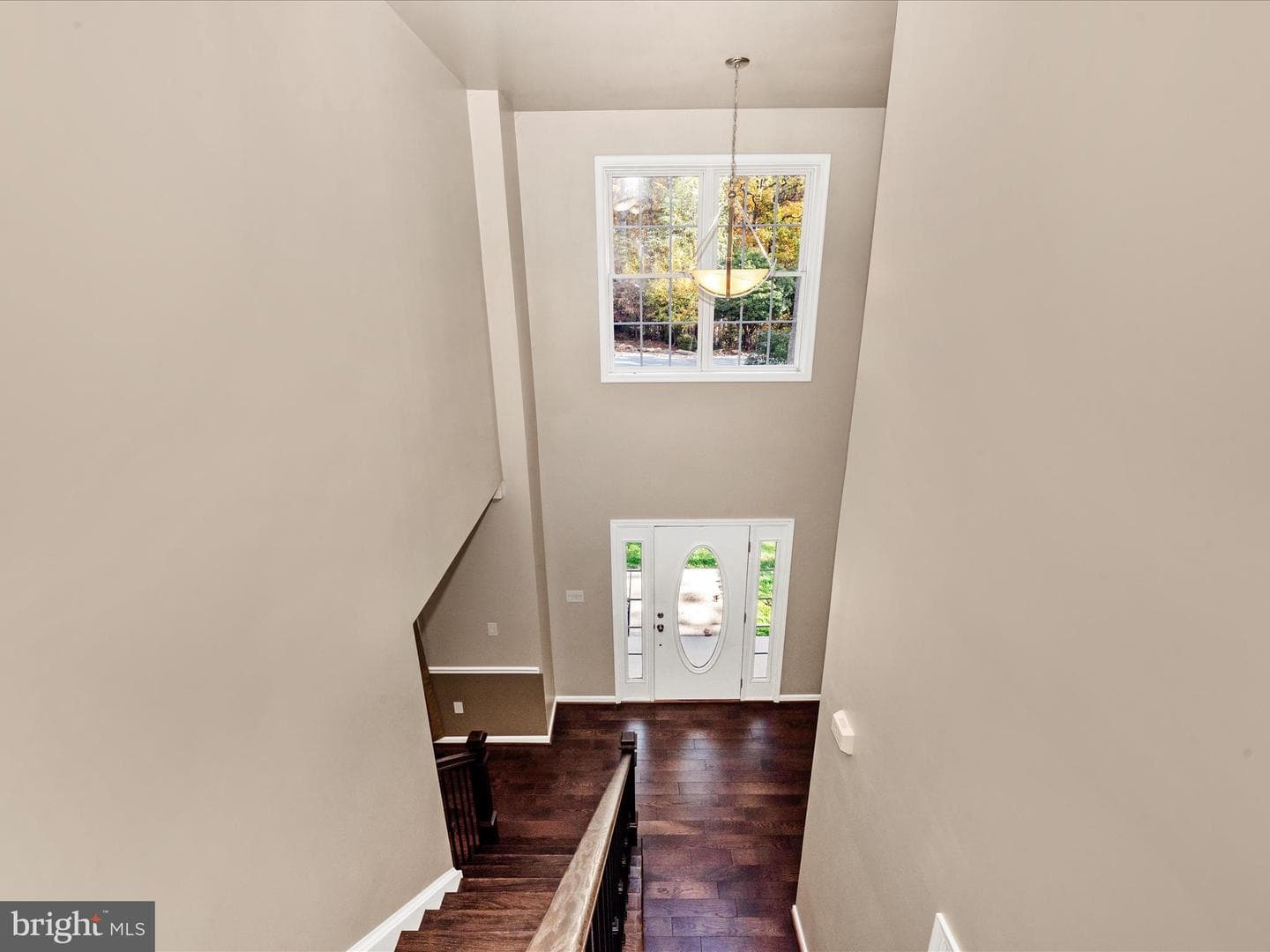 10027 Pine Tree Road photo 44