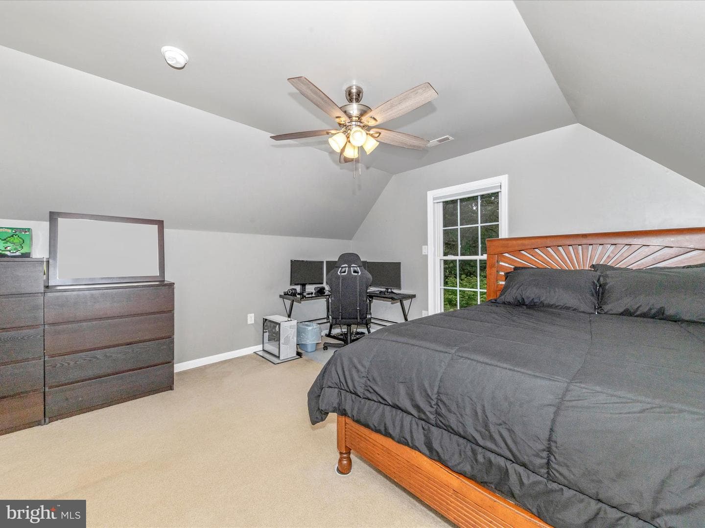 10027 Pine Tree Road photo 55