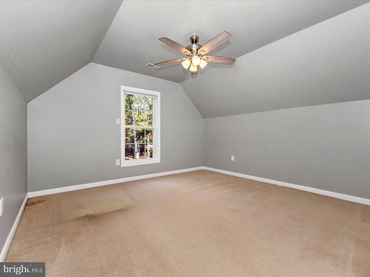 10027 Pine Tree Road photo 56