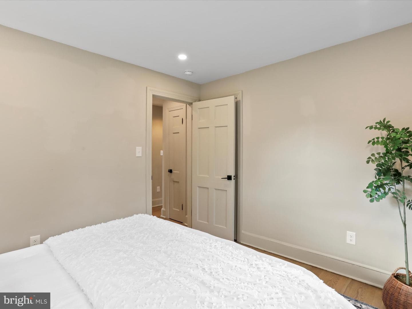 3 Poplar Street photo 11