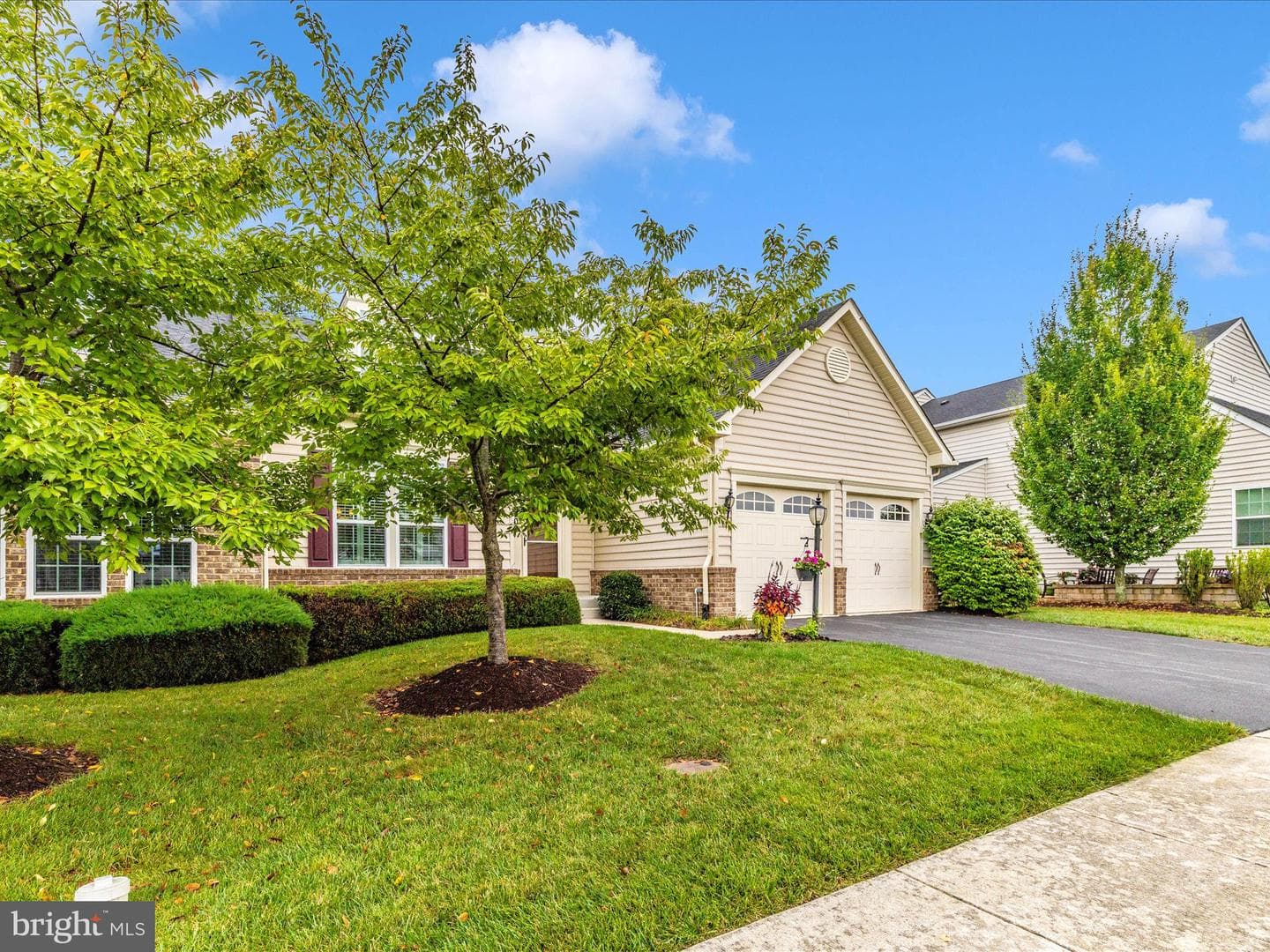 5909 Constance Way photo 44