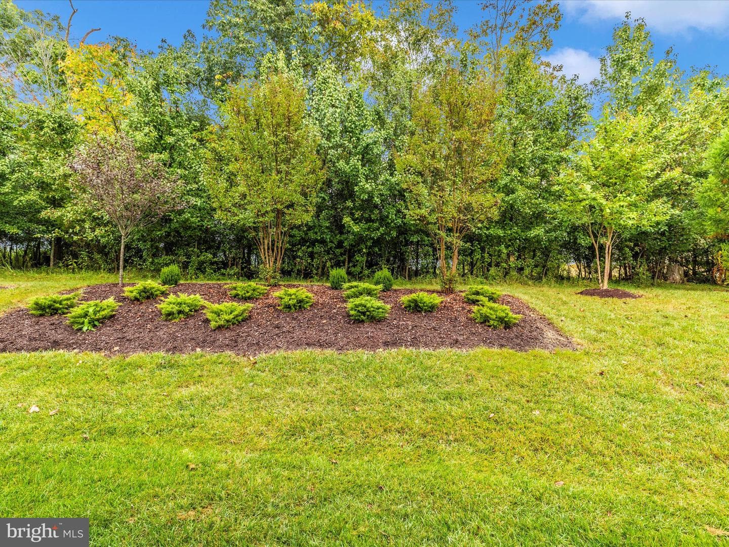 5909 Constance Way photo 50