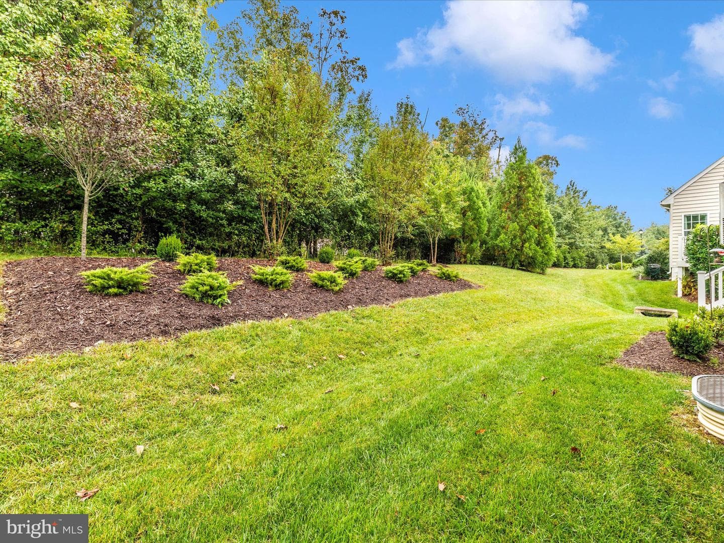 5909 Constance Way photo 51