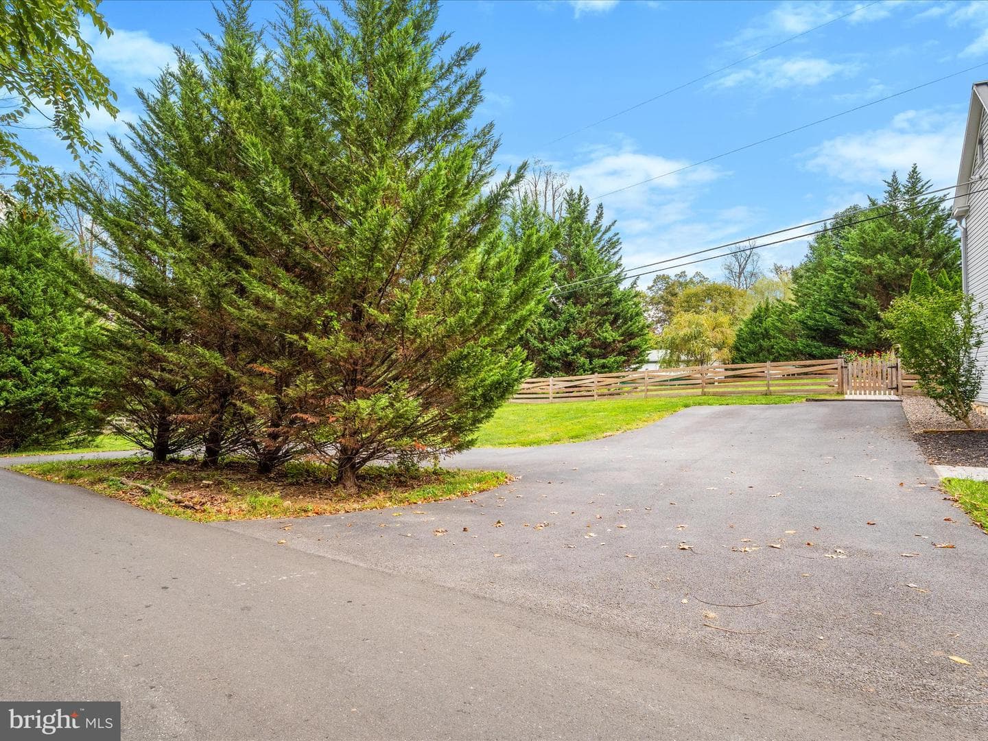 4417 Reels Mill Road photo 6