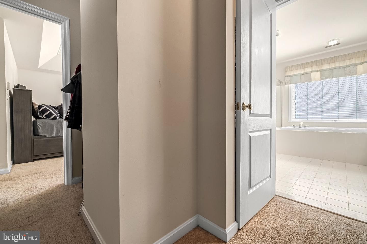 12 Evan Court photo 33