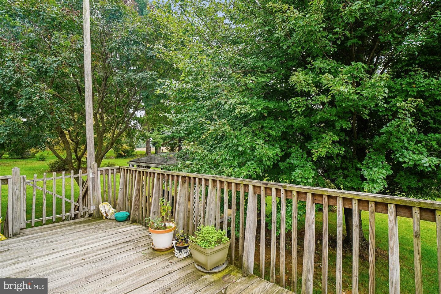 1149 Rosemont Drive photo 7