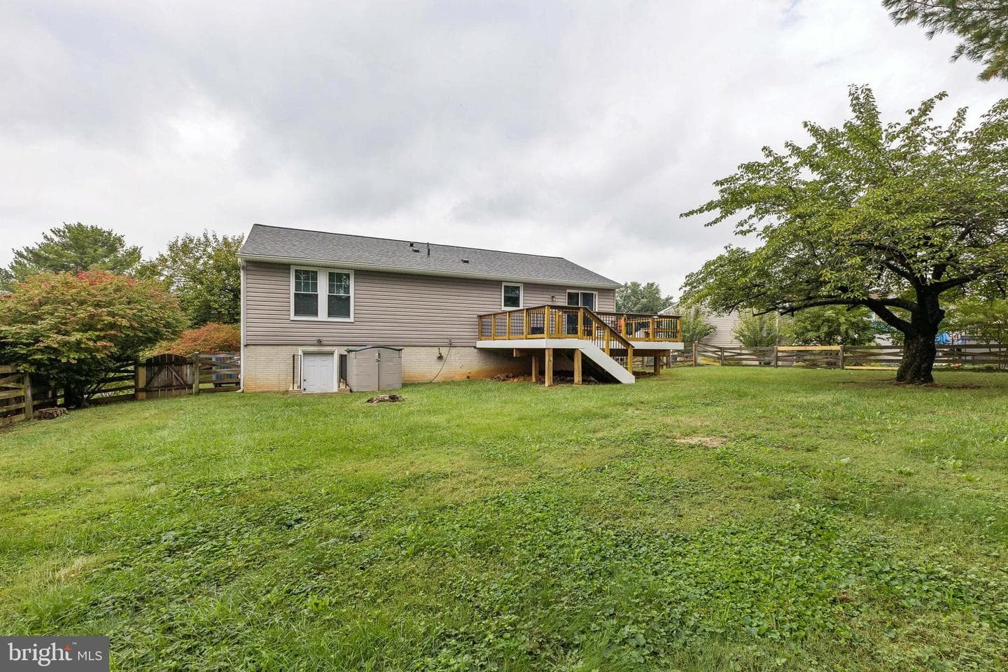 105 Albany Avenue E photo 7