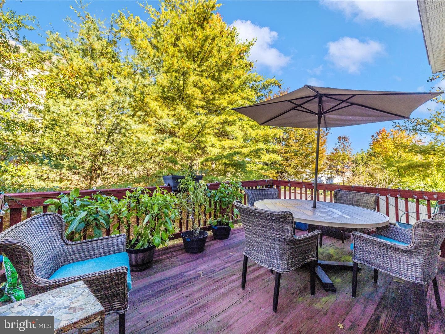 1003 Lavenport Way photo 18